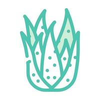 natürlich Aloe vera Farbe Symbol Vektor Illustration