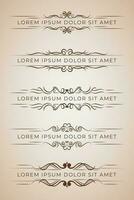 Ornament Separator. Text Linie Jahrgang Ornament Element Hochzeit Dekoration Teiler. vektor