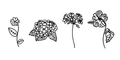 Blumen im Umriss-Doodle-Flat-Stil. vektorillustration stellte auf weißen hintergrund ein. vektor