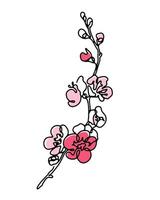 körsbär blomma enda linje konst med abstrakt rosa Färg fläckar, vår blomning sakura gren hand dragen svartvit vektor illustration.