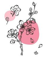 Frühling blühen einfarbig Linie Kunst Blumen- einstellen mit abstrat Rosa Farbe Flecken. Blühen Apfel Zweig, Blumen und Blütenblätter Sammlung. Hand gezeichnet Vektor Illustration