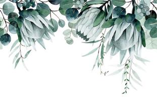 Aquarell Zeichnung. nahtlos Rand mit tropisch Blumen und Blätter. Protea Blumen und Eukalyptus Blätter vektor