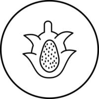 Drachenfrucht-Vektorsymbol vektor