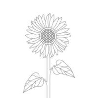 Sonnenblume Färbung Seite und Buch Hand gezeichnet Linie Kunst Vektor