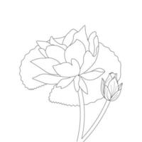 vatten lilja blomma färg sida och bok lotus hand dragen linje konst vektor