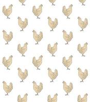 vektor sömlös mönster av hand dragen kyckling höna