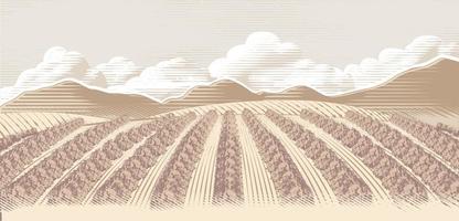 Jahrgang Gravur Zeichnung von ländlich Bauernhof Landschaft oder Obst Feld vektor