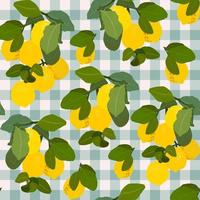 Zitronen Gouache eben Abbildungen nahtlos Muster. Grün Blätter und Zitronen isoliert auf süß kariert Hintergrund zum Verpackung Papier, Hintergrund, Stoff. vektor