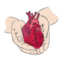 hjärta och händer hälsa symbol medicin mänsklig hand dragen skriva ut vektor