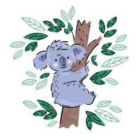 koala australier djur- tecknad serie Björn vektor illustration uppsättning