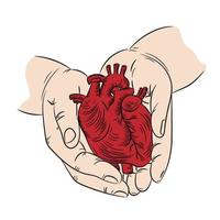 ha kvar hjärta hälsa symbol medicin mänsklig hand dragen skriva ut baner vektor