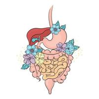 Magen-Darm Pflege Medizin Gesundheit Vektor Illustration