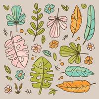 Hand gezeichnet Blätter Natur Herbarium Vektor Illustration einstellen