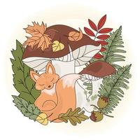 Fuchs Pilz Tier Jahreszeit Natur Vektor Illustration einstellen