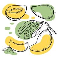 mango utsökt frukt hand dragen vektor illustration uppsättning