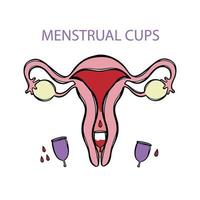 Menstruation- Tassen Null Abfall Hand gezeichnet Vektor Illustration einstellen