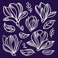 Magnolie einstellen Blume durchbrochen Clip Art Vektor Illustration