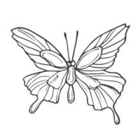 Gliederung Zeichnung von Schmetterling. Vektor Illustration. schwarz Linie. Flügel mit ein Muster.