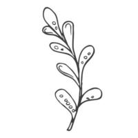 Blumen- Gekritzel Design Elemente. Hand gezeichnet dekorativ Blätter und Kränze. Blume Ornament Teiler. Baum Geäst mit Blatt und Blumen. vektor
