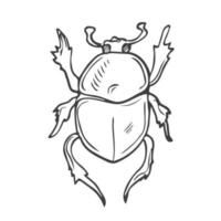 skalbaggar uppsättning hand dragen element i klotter stil. vektor scandinavian insekter