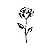 Rose Illustration Vektor Design