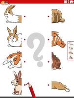 Spiel Hälften von Bilder mit Kaninchen lehrreich Spiel vektor
