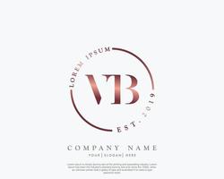 Initiale Brief vb feminin Logo Schönheit Monogramm und elegant Logo Design, Handschrift Logo von Initiale Unterschrift, Hochzeit, Mode, Blumen- und botanisch mit kreativ Vorlage vektor