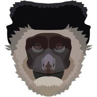 Colobus Gesicht. das Schnauze von ein Affe ist abgebildet. hell Porträt auf ein Weiß Hintergrund. vorausschauend Grafik. Tier Logo. vektor