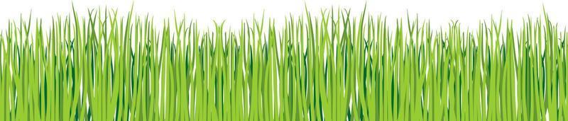 grön gräs. horisontell grön gräsmatta vektor uppsättning. realistisk illustration av grön gräsmatta, gräns eller äng