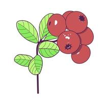 Preiselbeere Beeren mit Blatt auf Weiß Hintergrund. saftig und frisch Beeren Preiselbeere realistisch Wald Karikatur Vektor Illustration isoliert zum Poster oder Emblem natürlich Produkt Vektor Illustration.