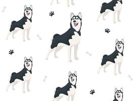nahtlos Muster mit Vektor schwarz und Weiß Hund sibirisch heiser Stehen und lächelnd, Zunge hängend aus. süß Karikatur Haustier. inländisch Tier