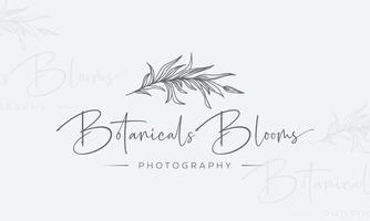 botanisch Blumen- Element Hand gezeichnet Logo mit wild Blume und Blätter. Logo zum Spa und Schönheit Salon, Boutique, organisch Geschäft, Hochzeiten, Blumen- Design, Innere, Fotografie, und Kosmetik. vektor