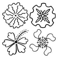 skizzieren Sie Gekritzelumrissblumen. handgezeichnete zeichnung von pflanzenknospen während der blüte. Blütenblatt-Silhouetten. isolierter Vektor. vektor