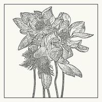 exotisch tropisch Lotus Blume Strauß botanisch Karte. skizzieren Illustration im Gravur Stil. vektor