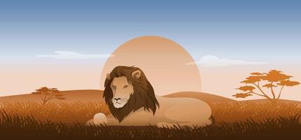 Löwe sitzt oder liegt auf einem Gras, Wildlandschaftssavanne mit Sonnenuntergangshintergrund, Vektorillustration vektor
