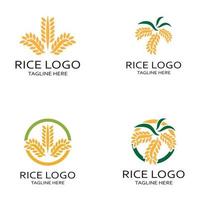 Paddy Pflanze Logo, Reis Korn Logo, Reis, natürlich organisch Landwirtschaft, z Geschäft, Firma, Landwirtschaft, Produkt, Bauernhof Geschäft, landwirtschaftliche Ausrüstung, Reis Lager, mit modern minimalistisch vektor