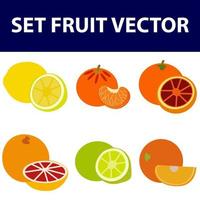 samling av citrus- skivor - orange, citron, kalk och grapefrukt, ikoner uppsättning, färgrik isolerat på vit bakgrund, vektor illustration.