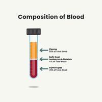 sammansättning av blod i testa rör vektor