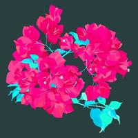 vektor platt stil, super neonrosa bougainvillea pappersblomma med blad, tropiska färska blommor illustration