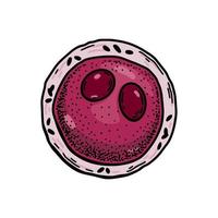 Myeloblast Blut Zelle isoliert auf Weiß Hintergrund. Hand gezeichnet wissenschaftlich Mikrobiologie Vektor Illustration im skizzieren Stil