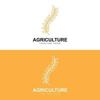ris logotyp, lantbruk design, vektor vete ris ikon mall illustration