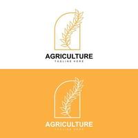 Reis Logo, Landwirtschaft Design, Vektor Weizen Reis Symbol Vorlage Illustration