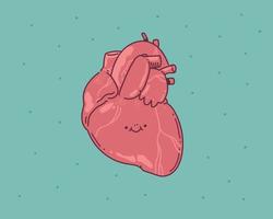 hjärta mänskliga doodle. anatomi platt medicinsk organ ikon vektor
