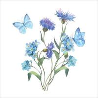 vattenfärg vektor, bukett med Glöm mig inte blommor och blåklint och blå fjärilar. vektor