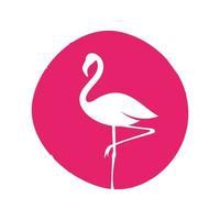 skönhet flamingo logotyp vektor