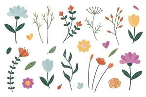 en uppsättning av kvistar och blommor för dekoration. vektor