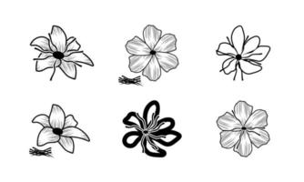 uppsättning av saffran blomma ikon, krokus blomma, blomma vektor på vit bakgrund