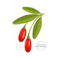 Goji Beere Serum zum Haut Pflege Paket Illustration vektor