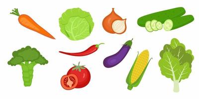 Satz frisches Gemüse. Karotte, Gurke, Brokkoli, Zwiebel, Kohl, Tomate, Chili. frisches Bauernmarktgemüse. Konzept der gesunden Ernährung. Vektorillustrationen lokalisiert auf weißem Hintergrund. vektor