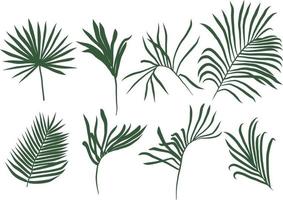 handflatan löv silhuett samling vektor illustration. tropisk handflatan träd silhuett isolerat på vit bakgrund.